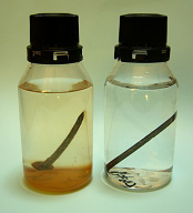 orp_image